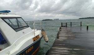 IMG-20250128-WA0126