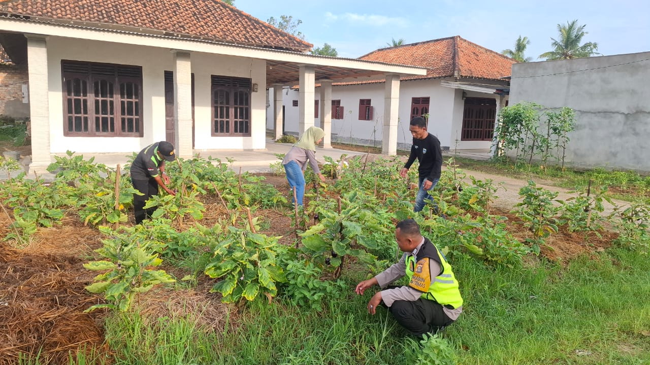 IMG-20250404-WA0002(1)