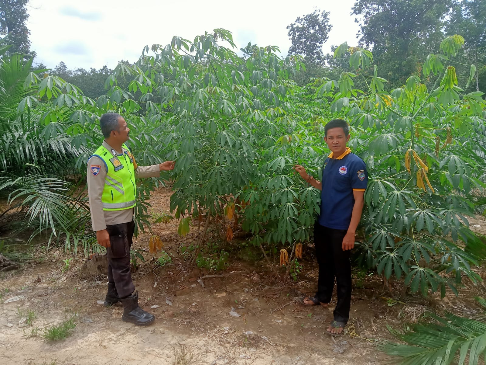 IMG-20250409-WA0001(2)