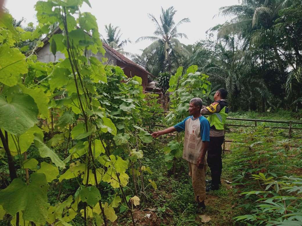 IMG-20250513-WA0001(1)