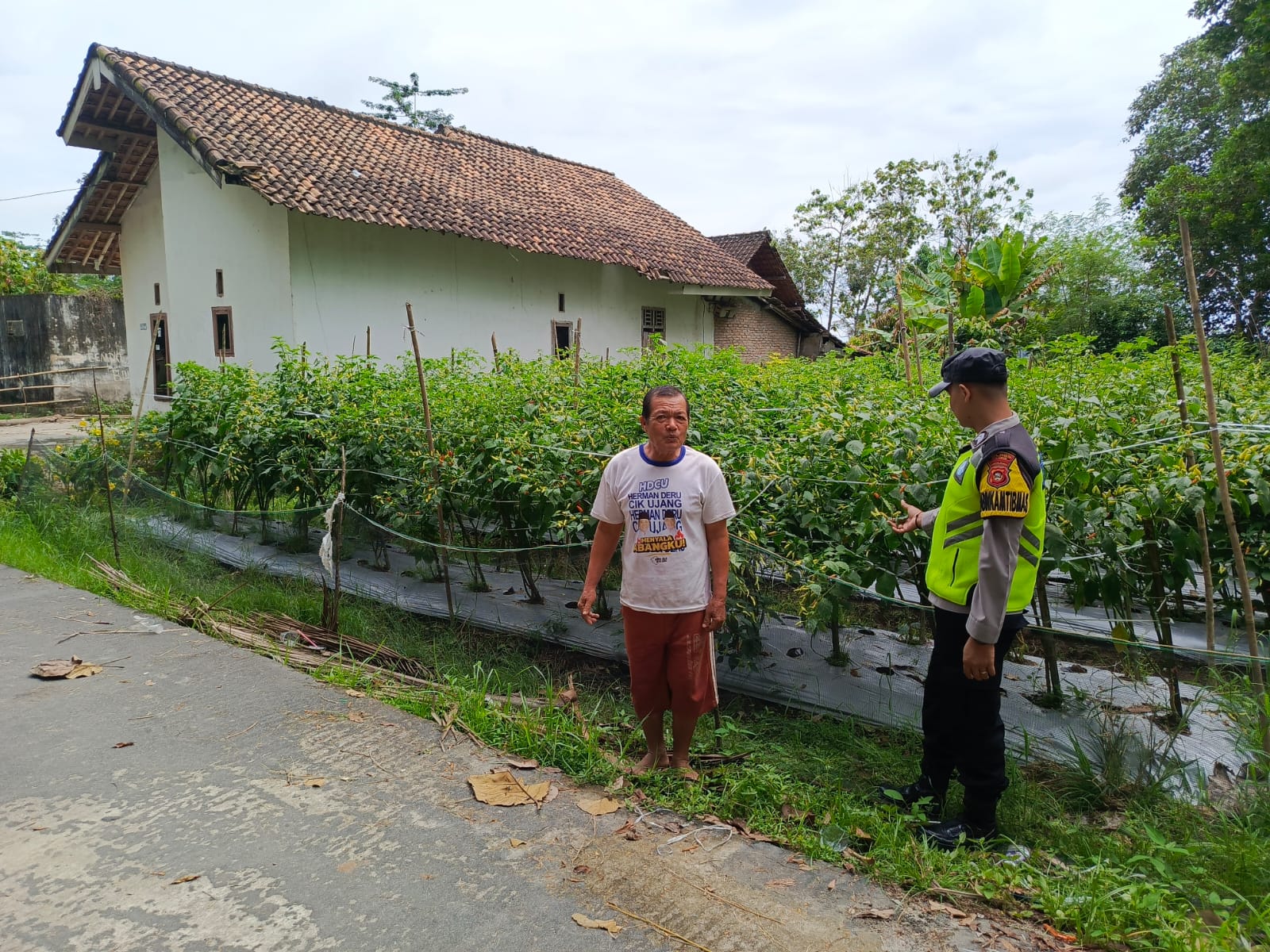 IMG-20250524-WA0005(1)