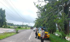 IMG-20260520-WA0000