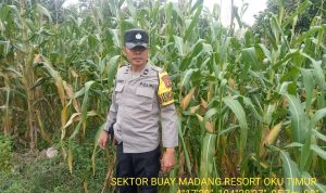 IMG-20260621-WA0010