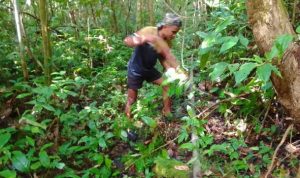 IMG-20260720-WA0065