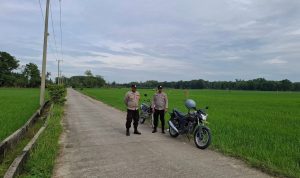 IMG-20260622-WA0006