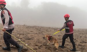 IMG-20260924-WA0039