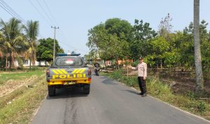 IMG-20260929-WA0002